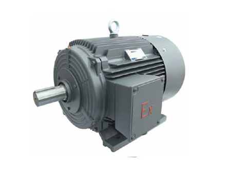 1MT0011 粉塵防爆電機