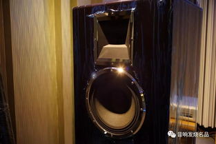 馬克萊文森創立丹尼爾赫茲daniel hertz