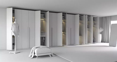 金迪木門 金迪馬克家定制收納產品